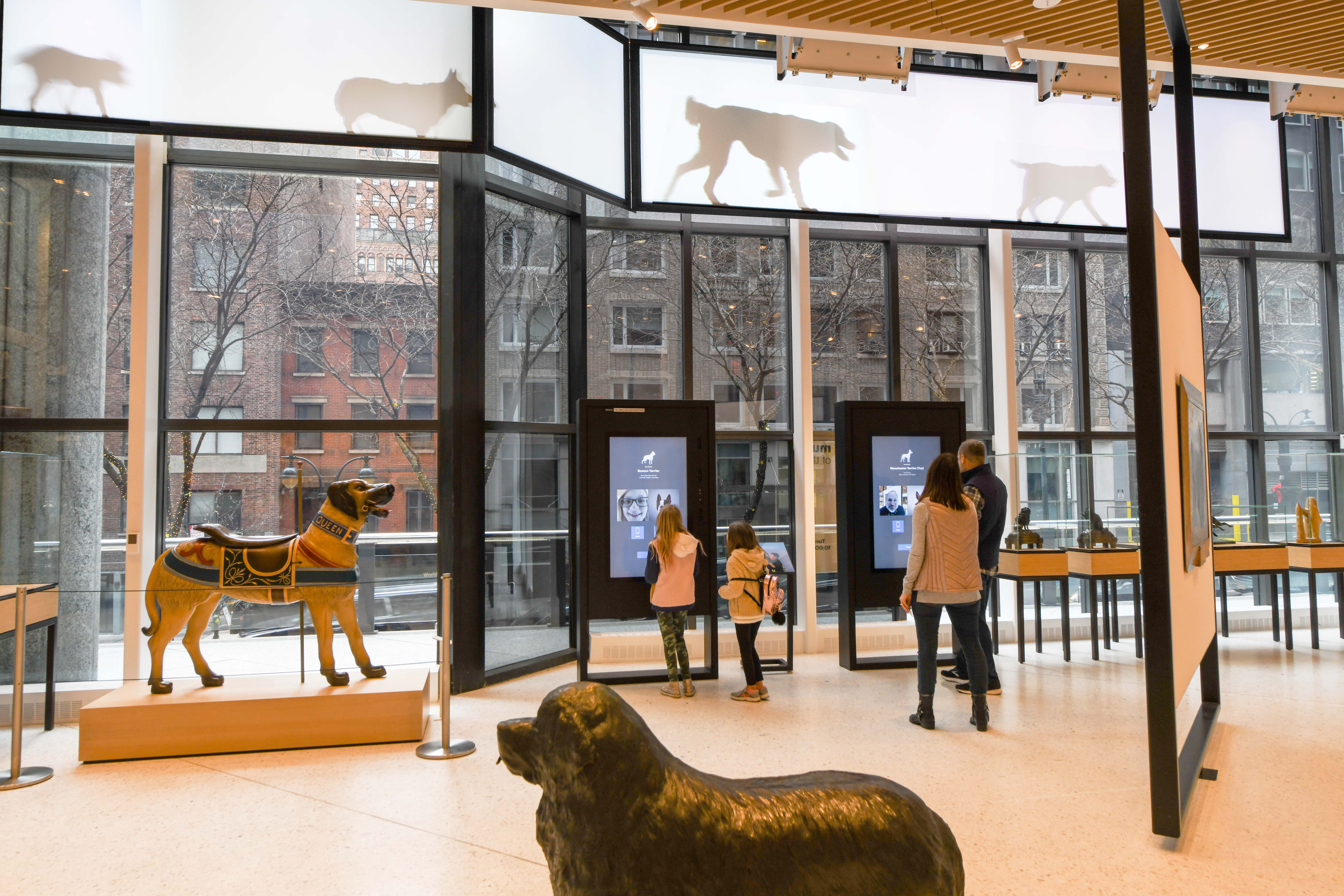 The akc museum of shop the dog